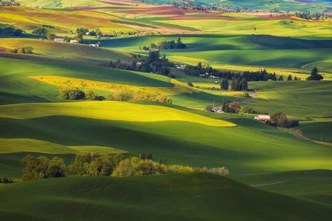 The Palouse Stock Photos