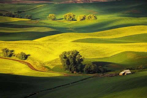 Palouse Views Stock Photos