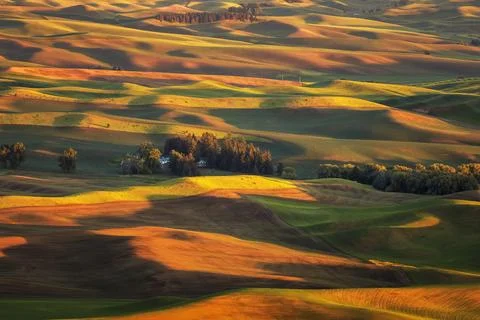 Palouse Views Stock Photos
