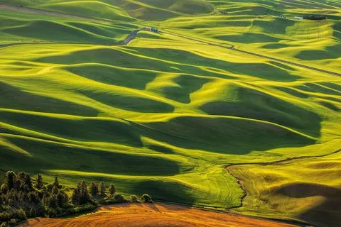 Palouse Views Stock Photos
