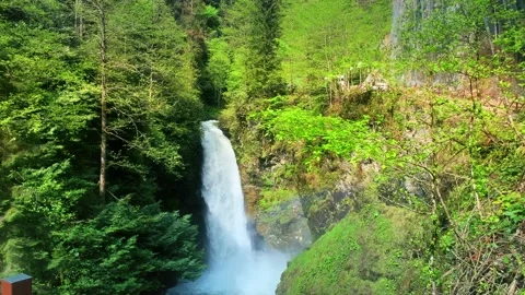 Palovit Waterfall in summer Stock Footage 196117731