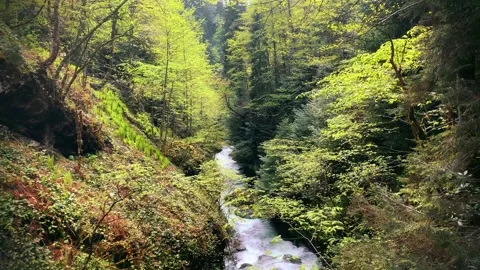 Palovit Waterfall In Summer Stock Footage 196117732
