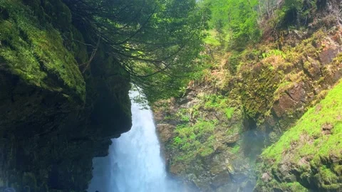 Palovit Waterfall In Summer Stock Footage 196117791