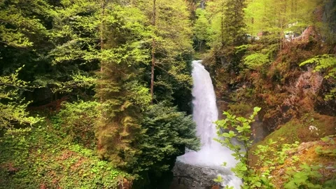 Palovit Waterfall in summer Stock Footage 196119687
