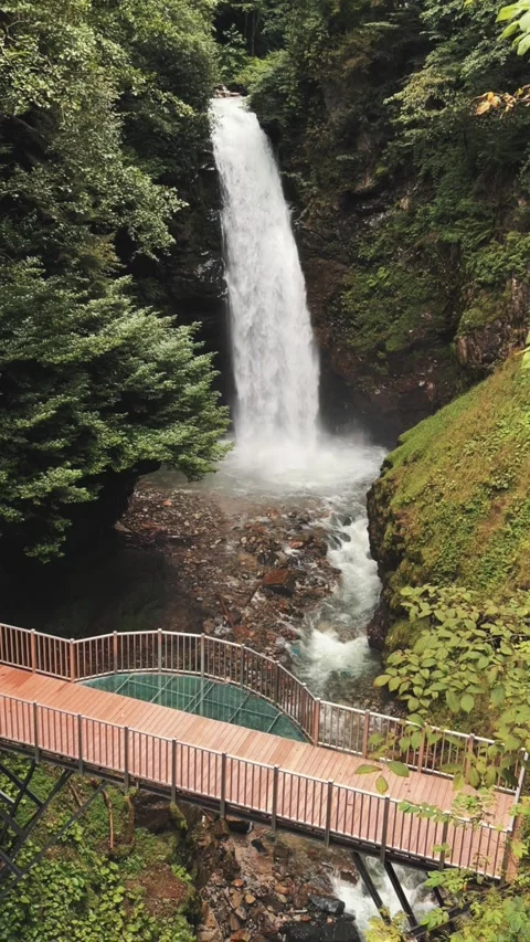 Palovit waterfall surrounded by greenery Stock Footage 296240918