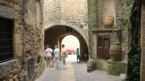 Pals Stock-Footage 11963231