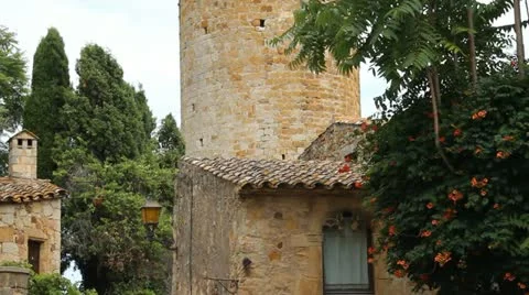 Pals Video stock 11965274