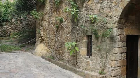 Pals Stock-Footage 11966644