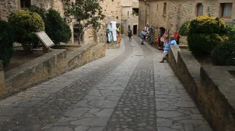 Pals Stock-Footage 11976450