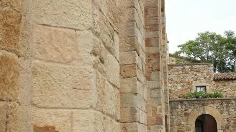 Pals Stock-Footage 11982126