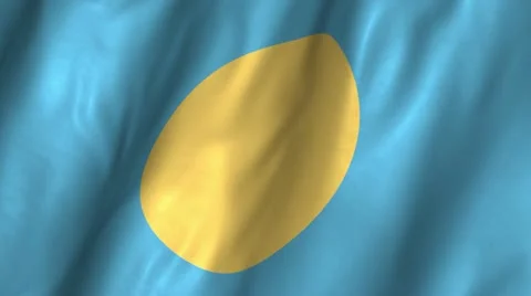 Palua Waving Flag Stock Footage 12354988