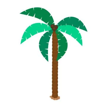Paml tree with coconuts vector illustration Stock Illustration