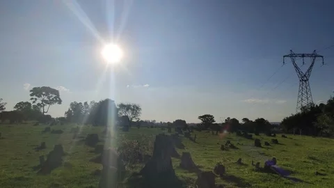 Pampa biome fields in a deforestation area with the late afternoon sun (2) Stock Footage 145382108