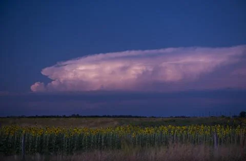 Pampas dramatic storm landscape, La Pampa Province, Patagonia, Argentina Stock Photos
