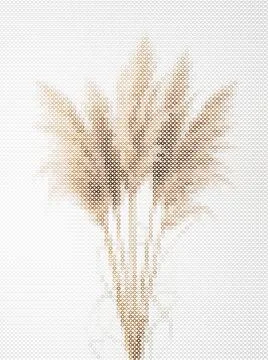 Pampas grass abstract art circles isolated on white background Stock Illustration
