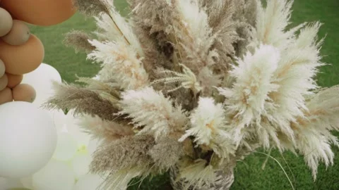 Pampas grass in a bunch at the wedding. Wedding decor. Stock Footage 170412923