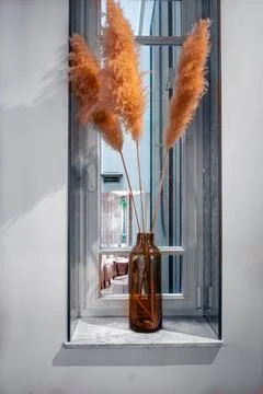 Pampas grass in decor. Stock Photos