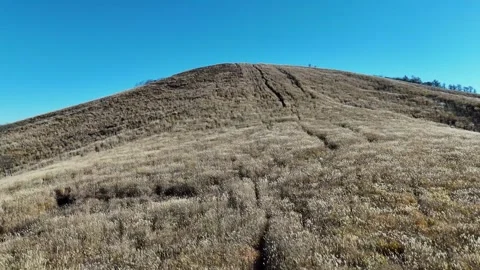 Pampas Grass Hill | Blue Sky | Fall - 4K Aerial Video Stock Footage 329054582