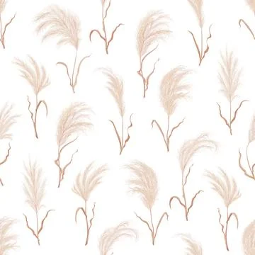 Pampas grass seamless pattern, dry boho background Illustrazione stock