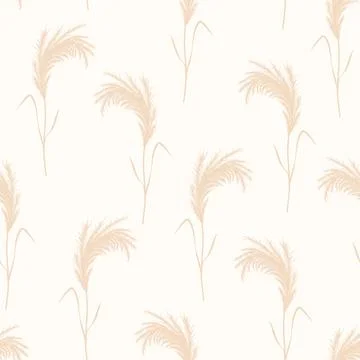 Pampas grass seamless pattern. Vector cortaderia in boho style. Autumn Stock Illustration