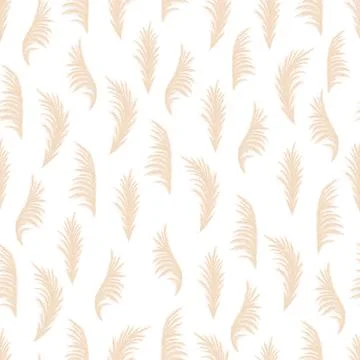 Pampas grass seamless pattern. Vector cortaderia in boho style. Autumn Stock Illustration