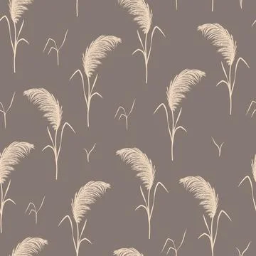 Pampas grass seamless pattern. Vector cortaderia in boho style. Autumn Stock Illustration