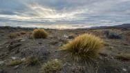 The Pampas Time Lapse (Patagonia, Argentina) Stock Footage