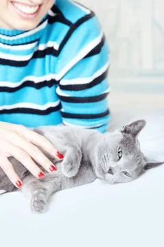 Pampering cat Stock Photos
