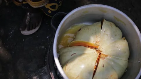 PAMPKIN Video stock 155257012