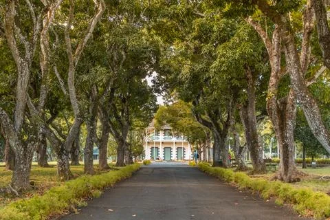 Pamplemousse botanical gardens in Mauritius Foto stock