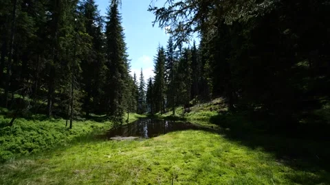 Pan across Austrian mountain pond Stock Footage 145806475
