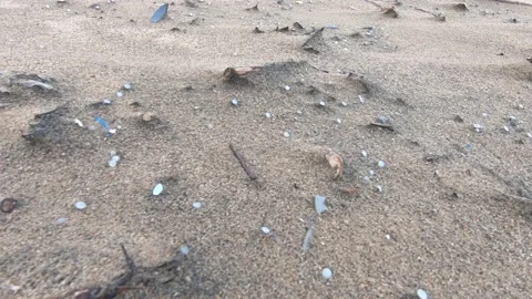 Pan across beach with thousands of nurdles (plastic pellets) Stock Footage 157287549