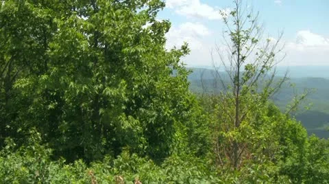 Pan Across the Blue Ridge Mountains with Looking Glass Rock in Background Video stock 14840925