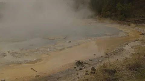 Pan Across Crested Pool Hot Spring at Yellowstone National Park Stock-Footage 122223978