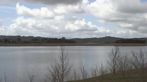 Pan across dam with dead trees in foreground Stock Footage 61507785