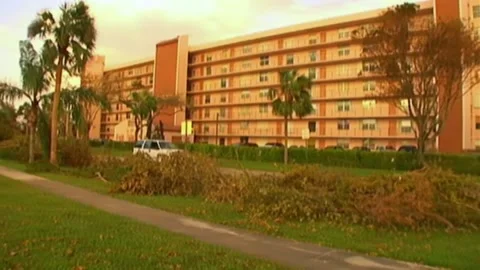 Pan Across Downed Trees After Hurricane Wilma Stock Footage 291000558