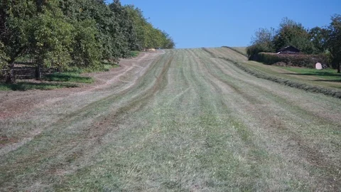 Pan across a dried up meadow Stock Footage 116012148