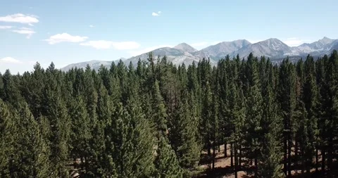Pan Across Eastern Sierra Nevada Mountains Inyo National Forest Stock Footage 219581448
