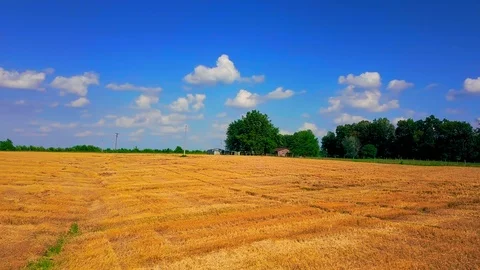 Pan Across Empty Field after Wheat Harvest with Blue Skys 動画素材 91002566
