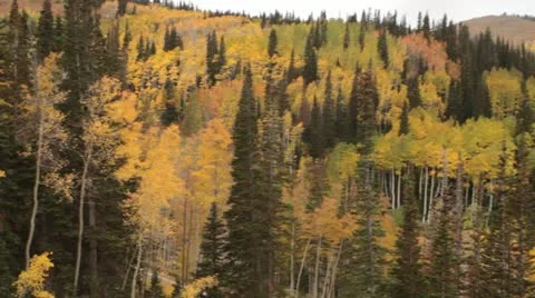 Pan across forested mountains with large resort hotel Stock Footage 21651072