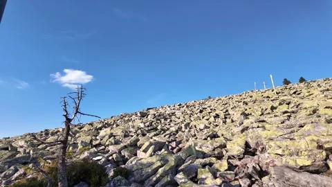 Pan across the granite boulder field of Mount Lusen Stock Footage 340514986
