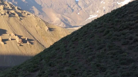 Pan across grassy and rocky hills in Argentina Stock Footage 90877853