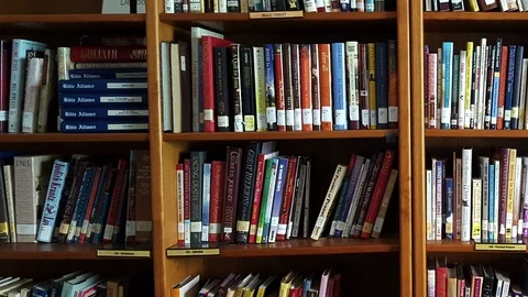 A pan across a library bookshelf Stock Footage 98358985