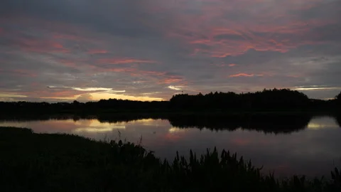 Pan Across Marsh Pre-Dawn Stock Footage 316423765