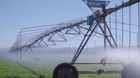 Pan across a massive line of mobile sprinklers, watering a farmer's crop. Stock Footage 68287419