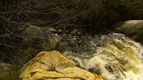 Pan across mountain stream from above Stock Footage 87676877