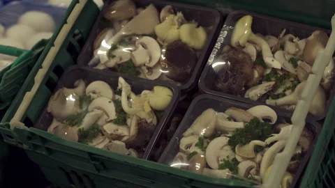 Pan across mushrooms packed ready for transport Stockbeeldmateriaal 280685045