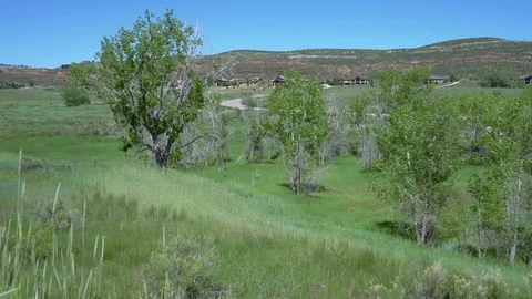 Pan across open field mountains in background Devils Backbone Colorado Stock Footage 110513243