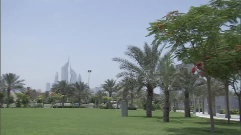 Pan across a park. Stock Footage 46869176