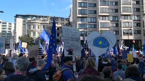 Pan across protesters marching against Brexit deal, 4K Stock Footage 118277240
